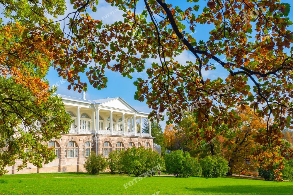 Фотография запечатлела Камеронову галерею в Царском Селе (Пушкин), окруженную осенними деревьями и зеленью парка. Здание выполнено в классическом стиле, гармонично вписываясь в пейзаж. Это популярное место для прогулок и отдыха, особенно в сезон золотой осени. Светлый фасад галереи подчеркивает контраст с яркими красками природы.